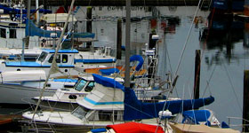 boats in marina across from Harborside Inn